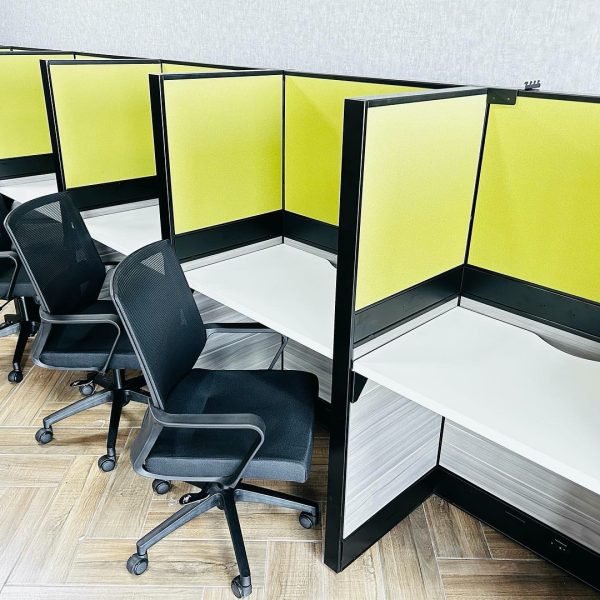 WhatsApp Image 2025-02-13 at 11.44.21